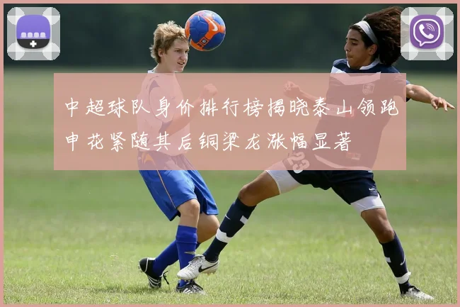 中超球队身价排行榜揭晓泰山领跑申花紧随其后铜梁龙涨幅显著