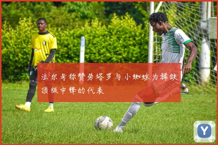 法尔考称赞劳塔罗与小蜘蛛为稀缺顶级中锋的代表